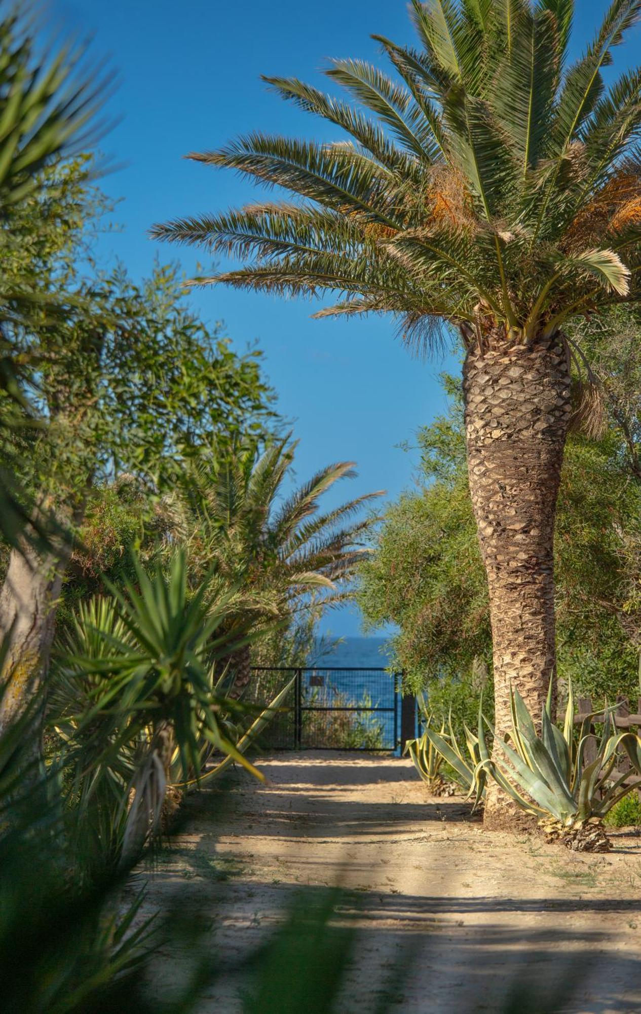 בית הארחה Casara Seis O Casara Siete - Tu Casa A 100M De La Playa De סהורה מראה חיצוני תמונה