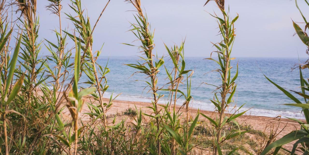 בית הארחה Casara Seis O Casara Siete - Tu Casa A 100M De La Playa De סהורה מראה חיצוני תמונה