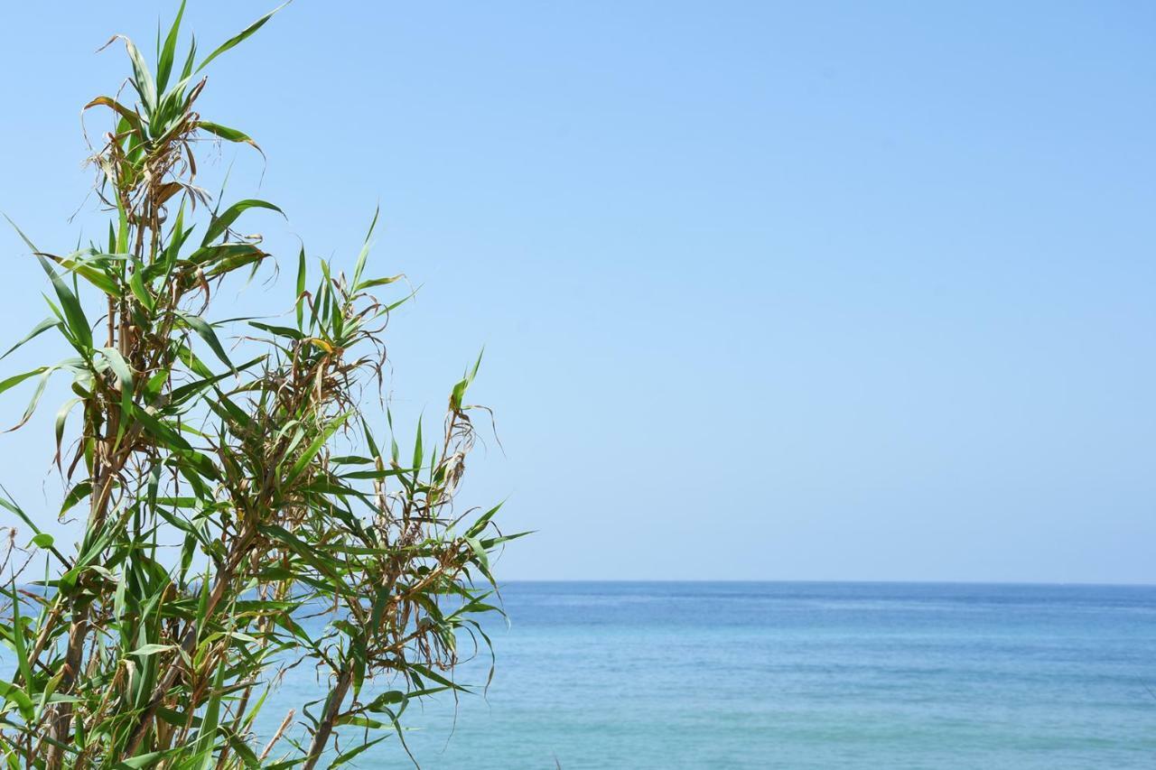 בית הארחה Casara Seis O Casara Siete - Tu Casa A 100M De La Playa De סהורה מראה חיצוני תמונה