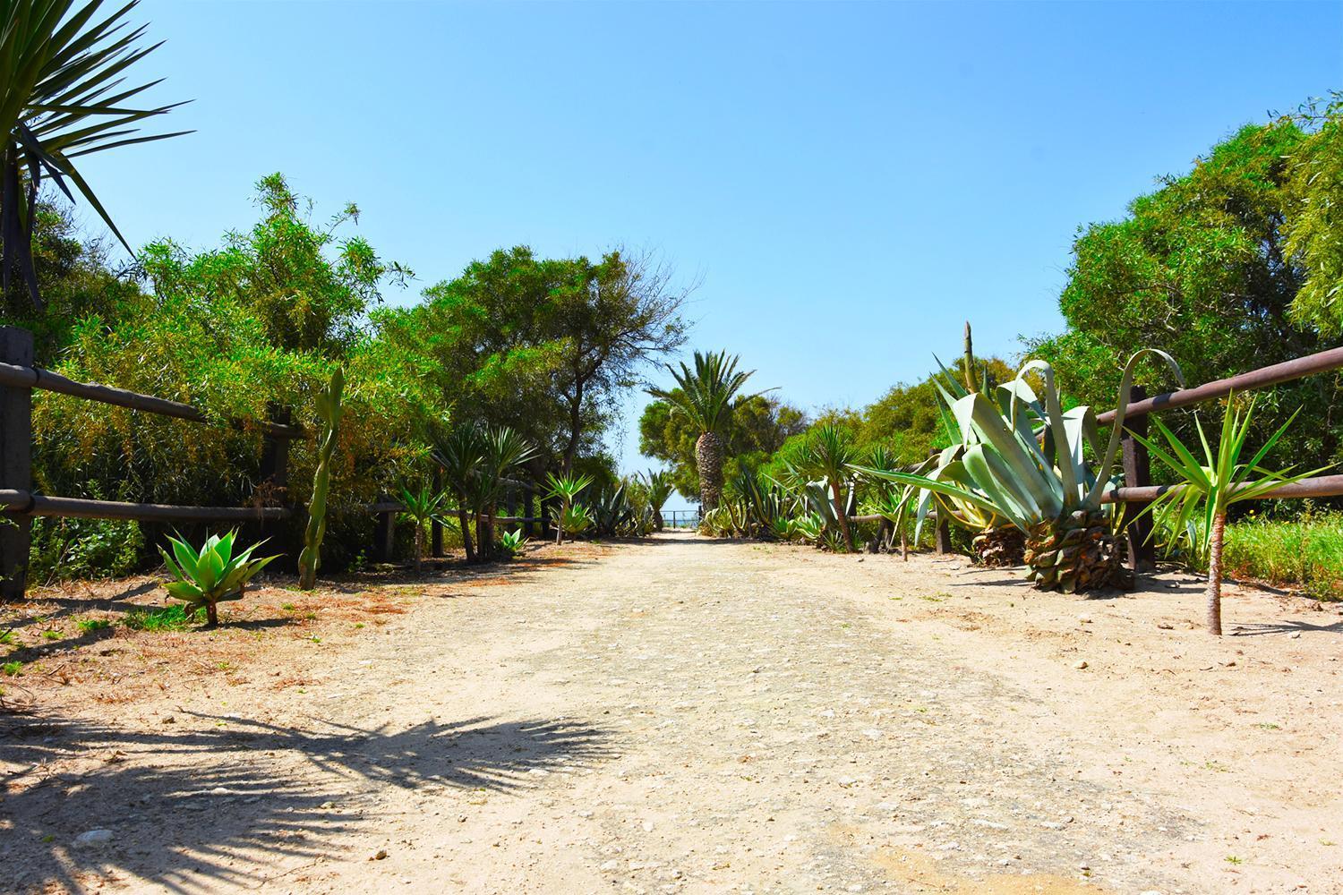 בית הארחה Casara Seis O Casara Siete - Tu Casa A 100M De La Playa De סהורה מראה חיצוני תמונה