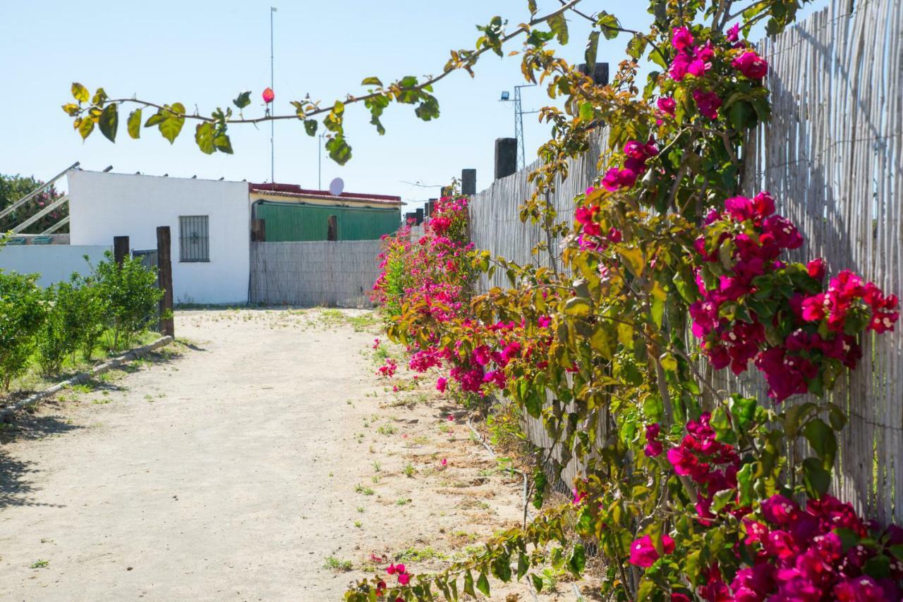 בית הארחה Casara Seis O Casara Siete - Tu Casa A 100M De La Playa De סהורה מראה חיצוני תמונה